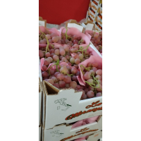 Roze grožđe