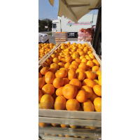 Mandarina