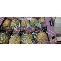 Ananas