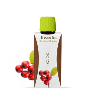GLOG KAPI
