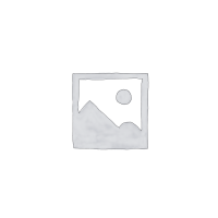 VIVAX HOME štapni usisavač VCB-H8 GB (VCB-H8 GB Steel)
