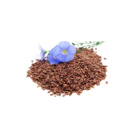 LAN SJEME 100 GR