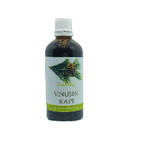 SINUSIN KAPI