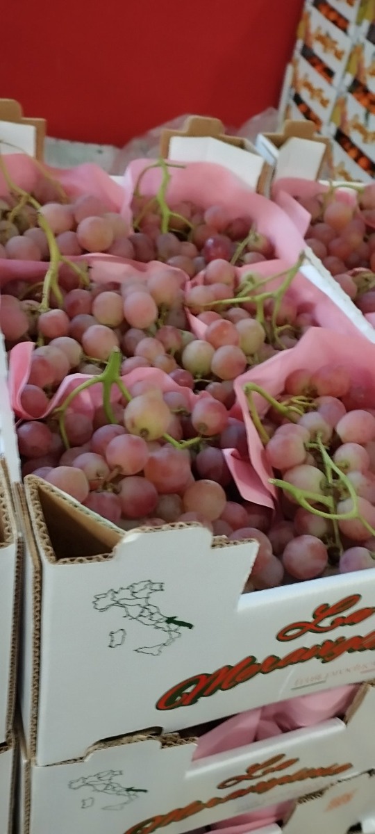 Roze grožđe