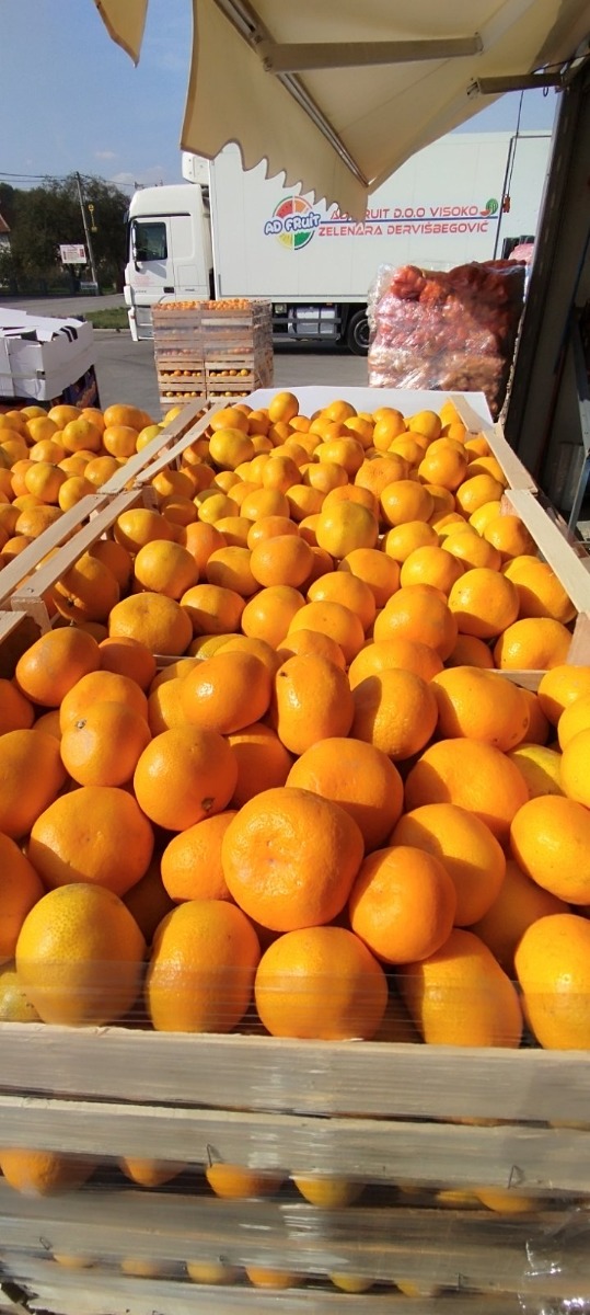 Mandarina