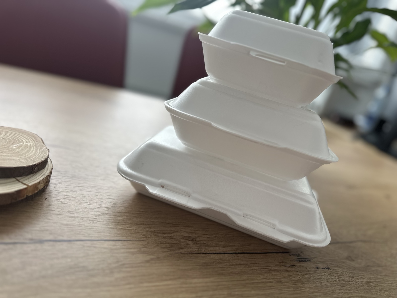 HB 6 Stiroporna posuda