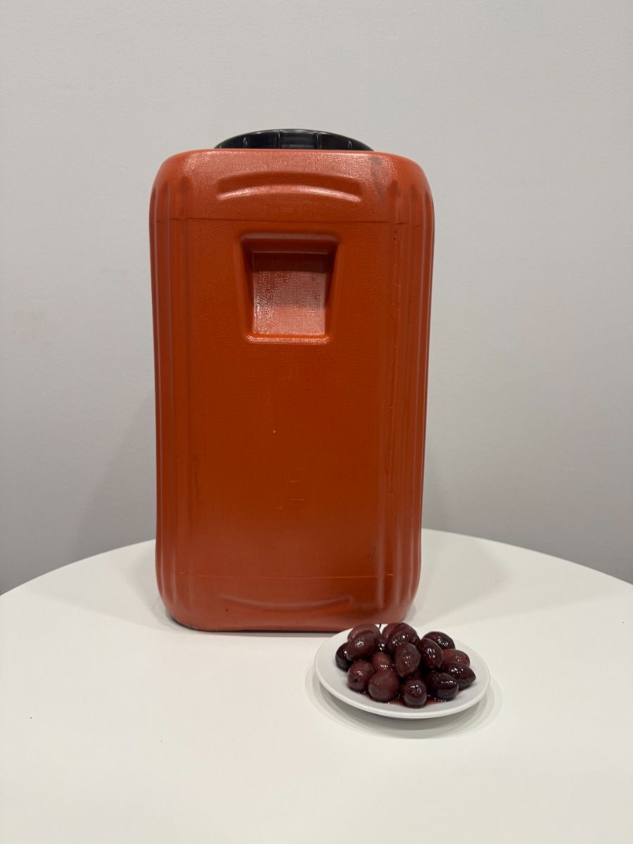 Kalamata Maslina EX. LARGE (201-230) 12kg