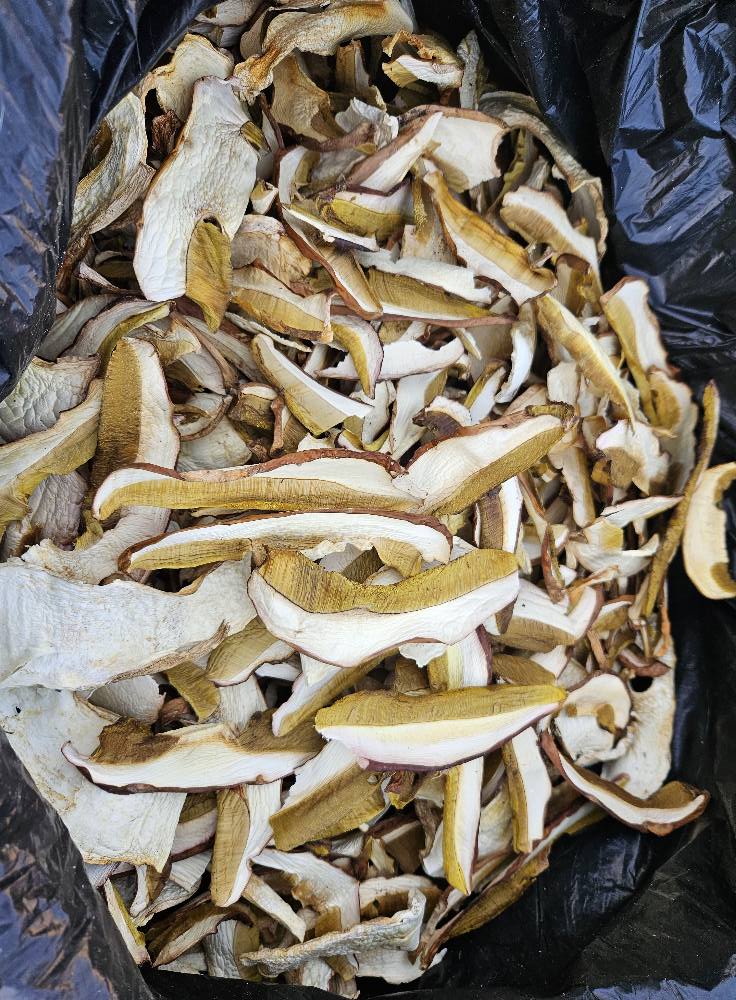 Suhi vrganj 1kg