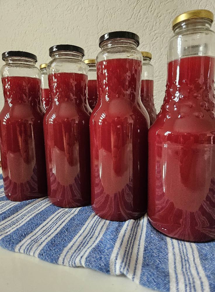 Sirup od divljeg nara 1l