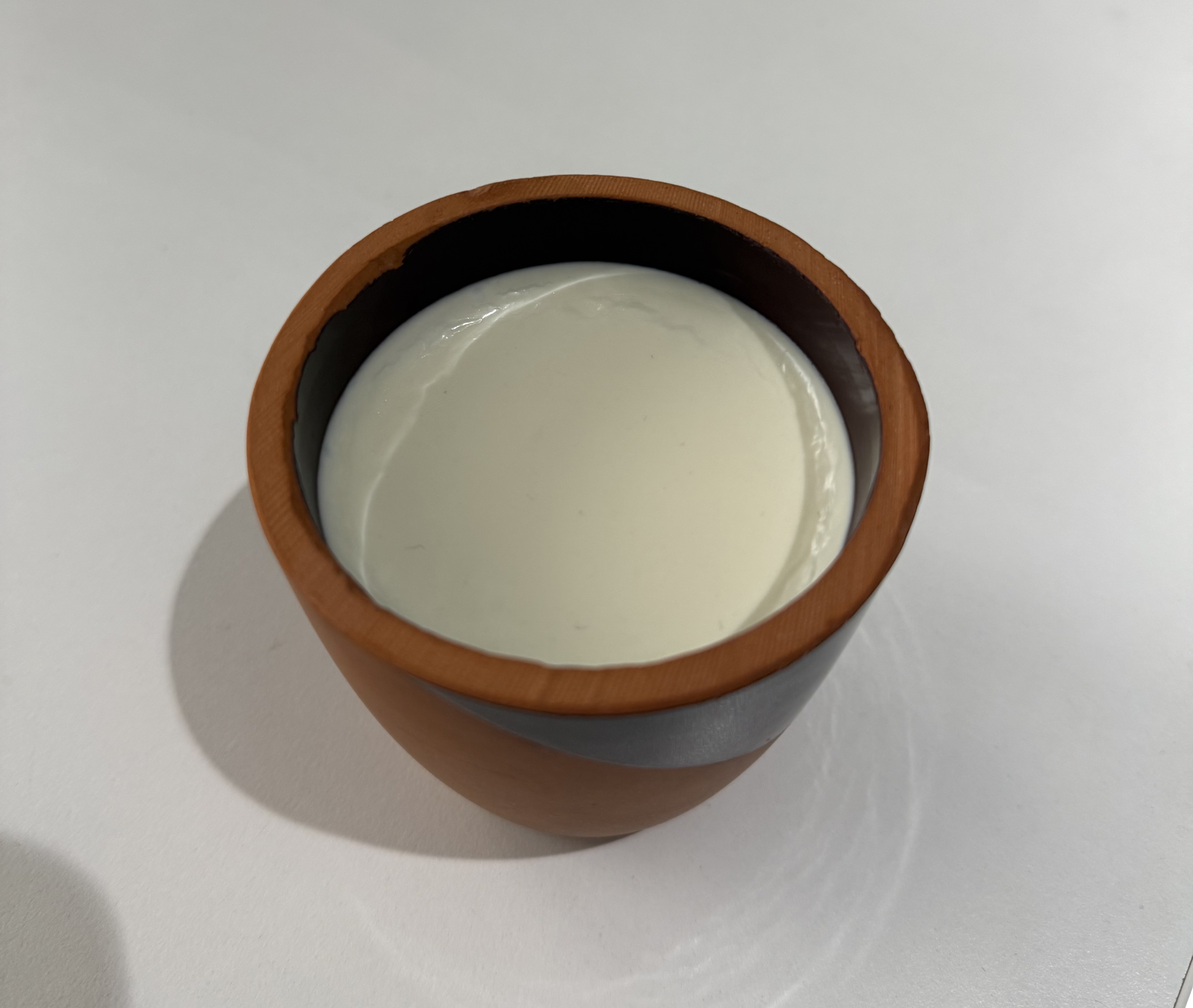 Kiselo mlijeko 200 ml