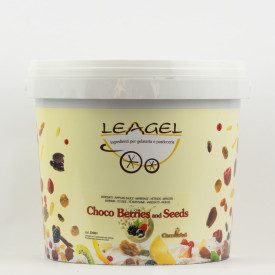 LEAGEL CHOCO BERRIES AND SEEDS RIPPL.SAUCE 4kg