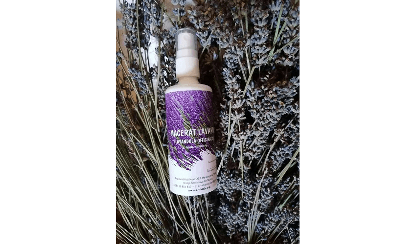 macerat lavanda