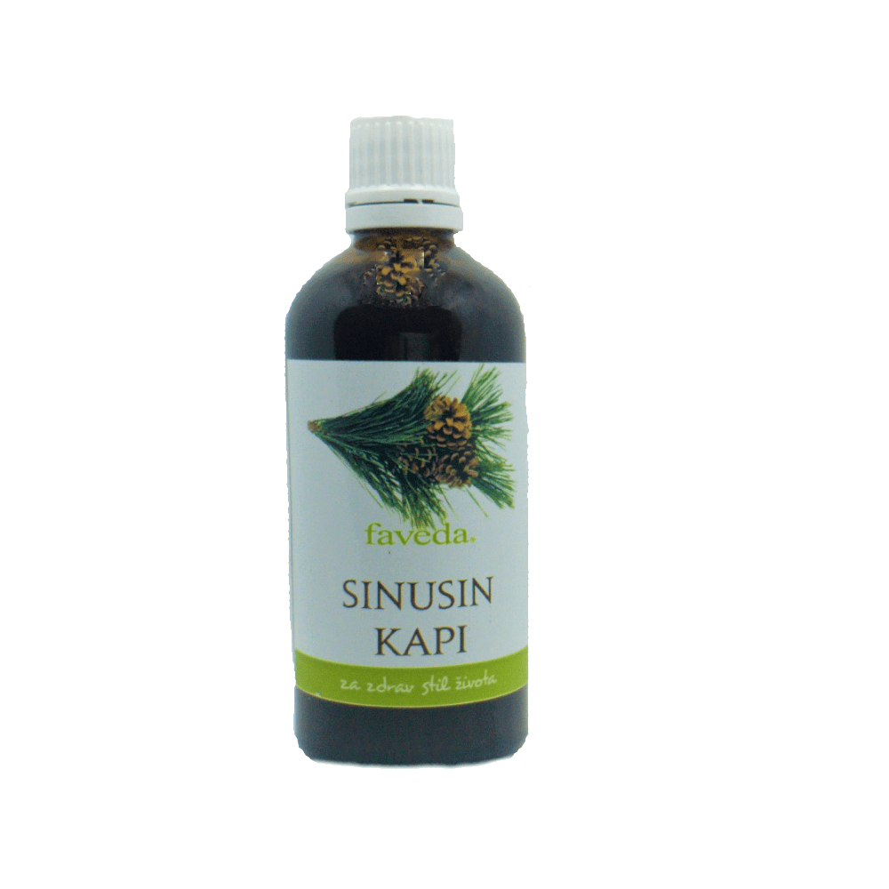 SINUSIN KAPI